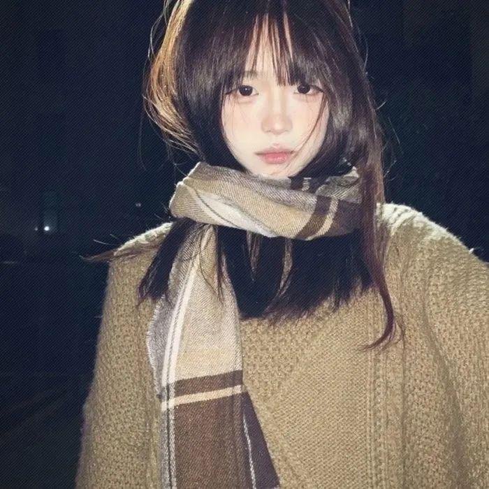 狐狸捕手