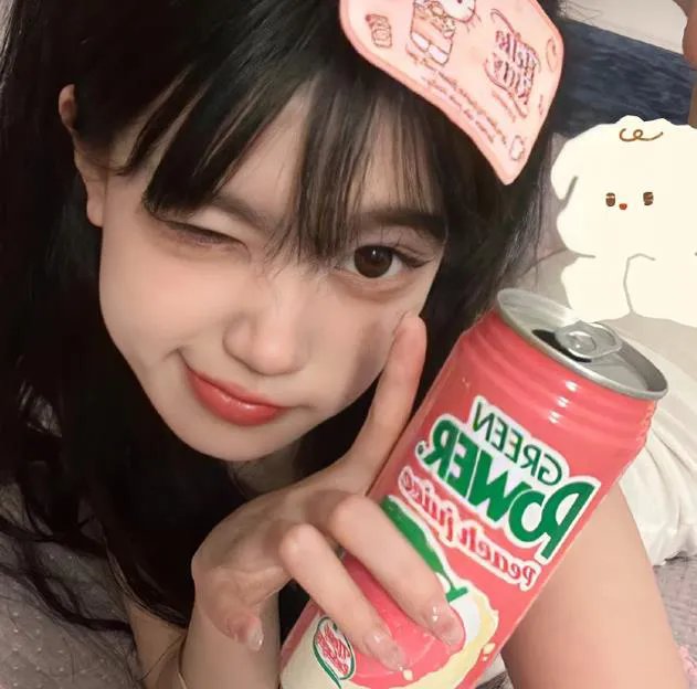 登陆月球